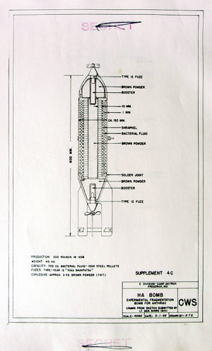 Uji bomb diagram print